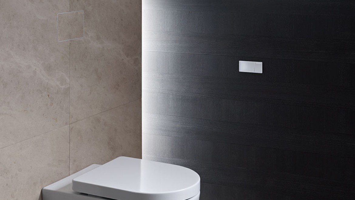 Geberit remote flush type 70 in a bathroom