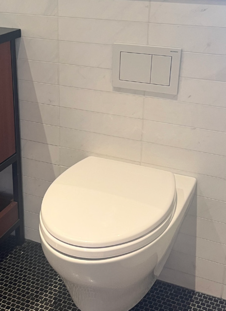 Dual Flush Plate at Brooklyn Tower Dual Flush Plate at Brooklyn Tower