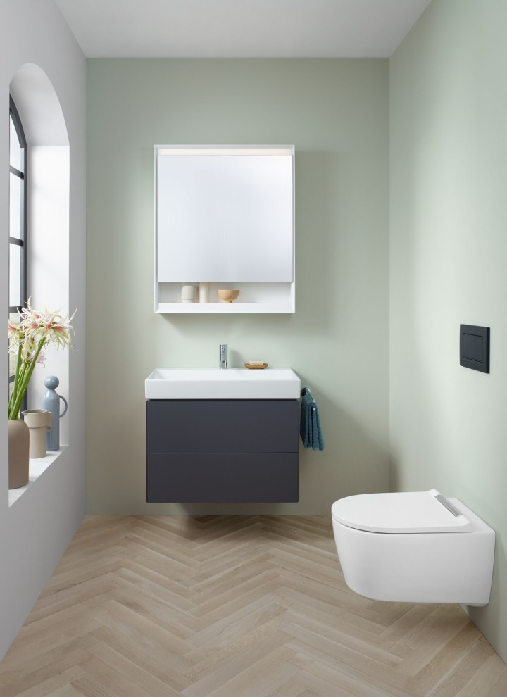 Small bathroom with wall-hung toilet, mirror cabinet, and washbasin cabinet Small bathroom with wall-hung toilet, mirror cabinet, and washbasin cabinet
