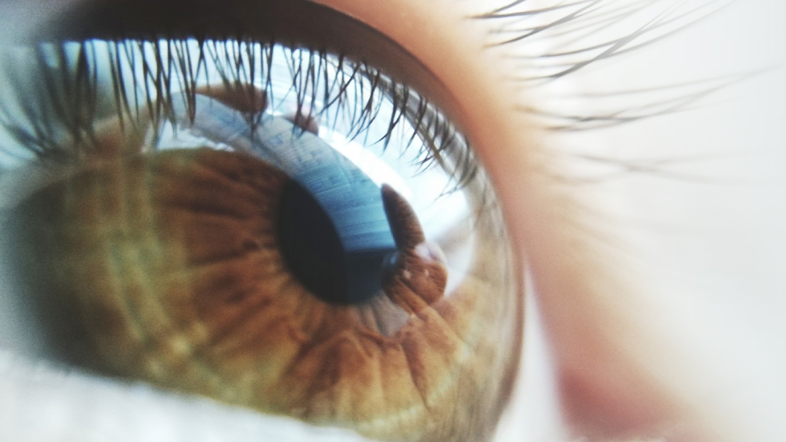 Brown eye looks into the distance