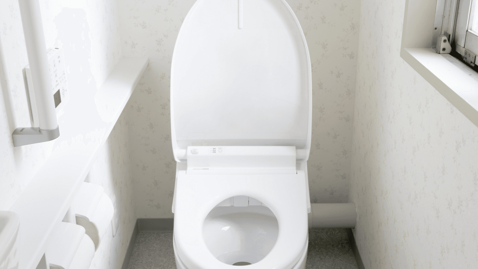 Elongated Toilet Seat Elongated Toilet Seat